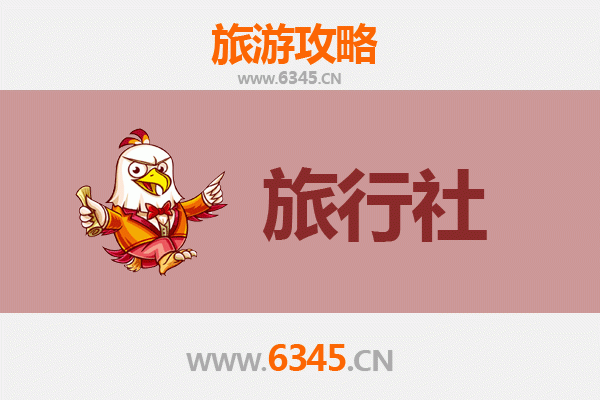 沧州献县旅行社推荐与深度游玩攻略