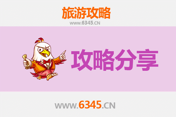 沧州献县旅游攻略：跟团与自由行深度对比